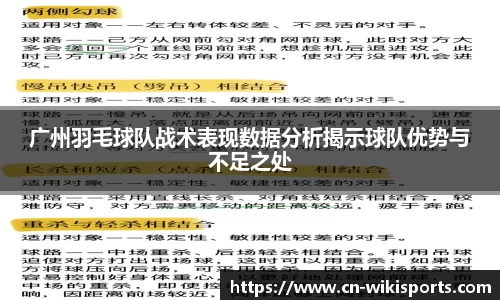 广州羽毛球队战术表现数据分析揭示球队优势与不足之处